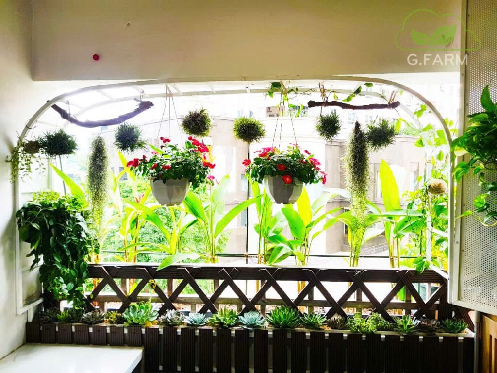 Ban công cây xanh nghệ thuật